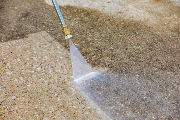 Trusted Homeland Park, SC Pressure Washing Services Experts